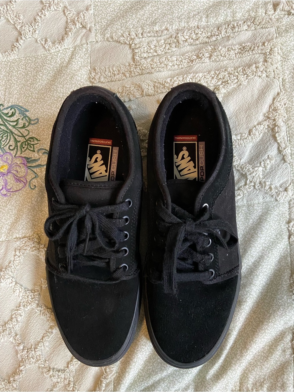 Vans Black Low-Top Skate Sneakers
